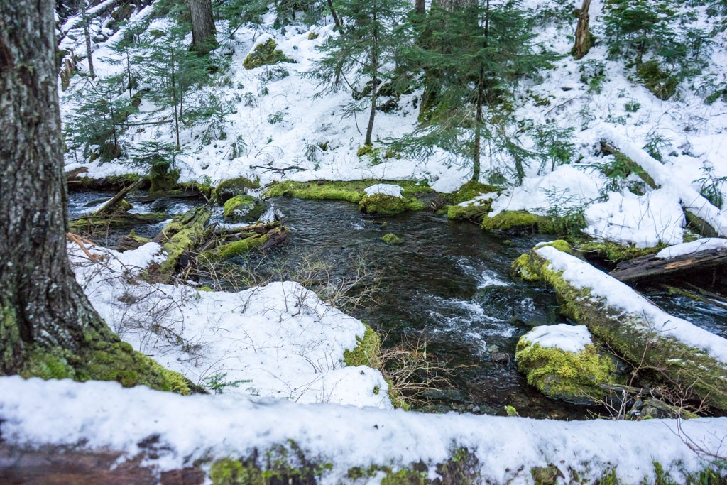 Snow along the creek