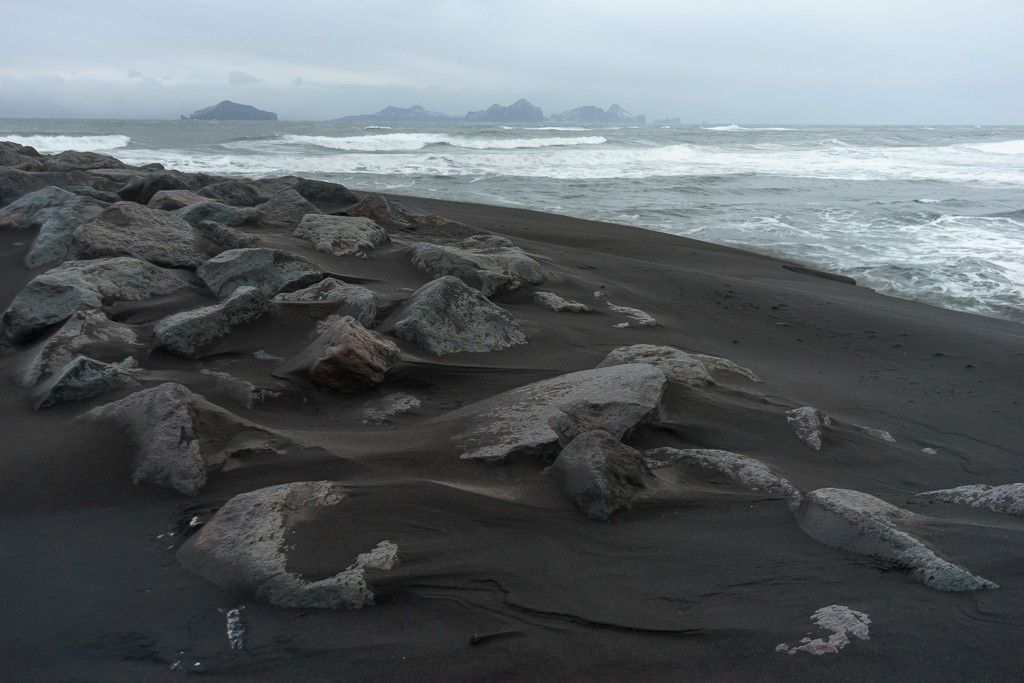 Windswept shoreline