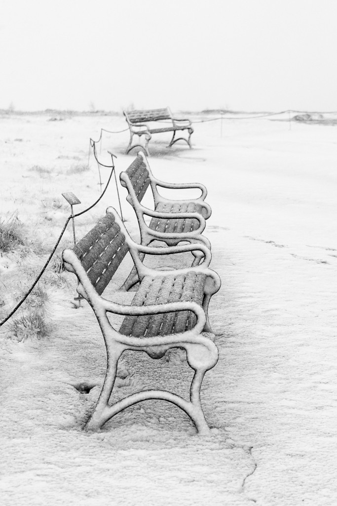 Empty park benches. It was too cold to lounge around.