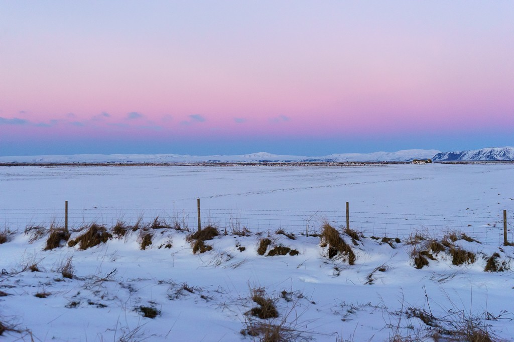 Gorgeous pink and blue sunrise