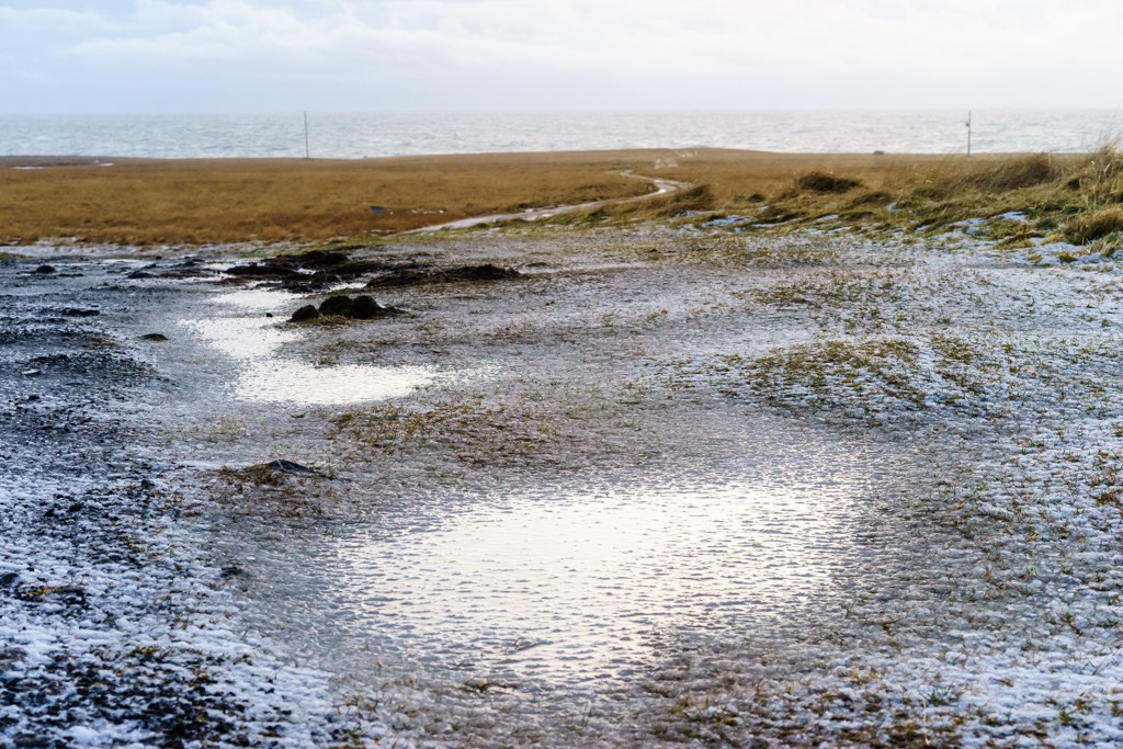 Road continues to the ocean