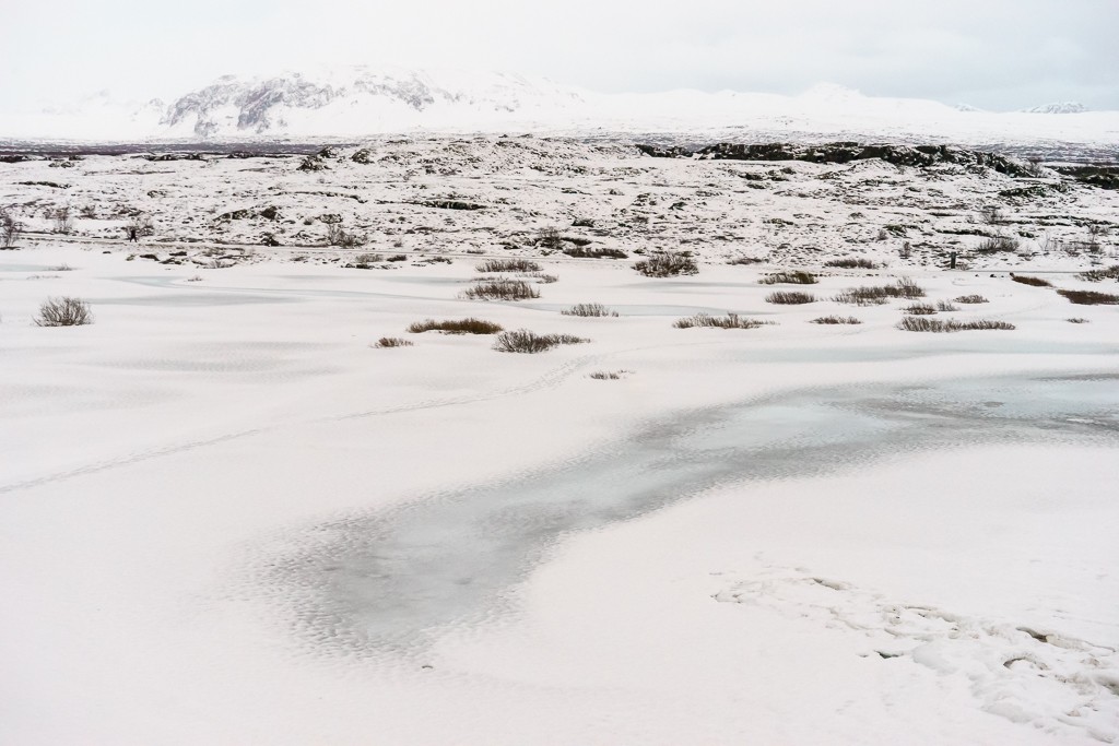 thingvellir-1598