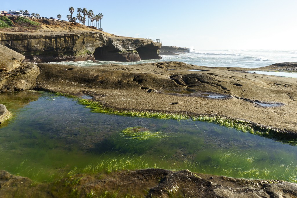 Tide pool