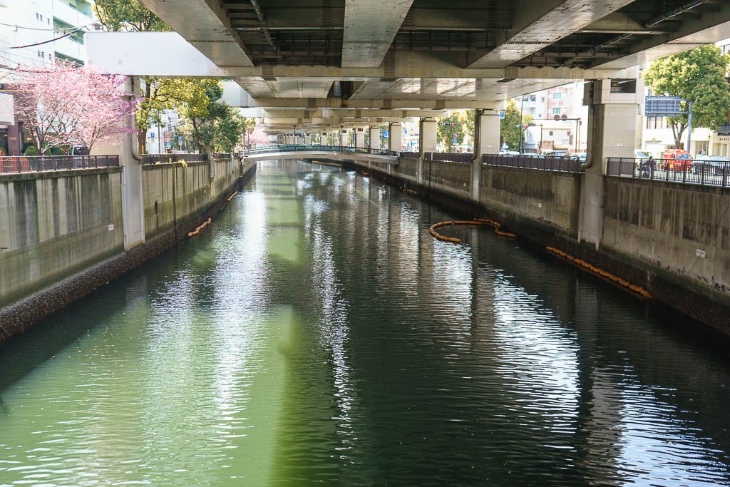 Under the highway