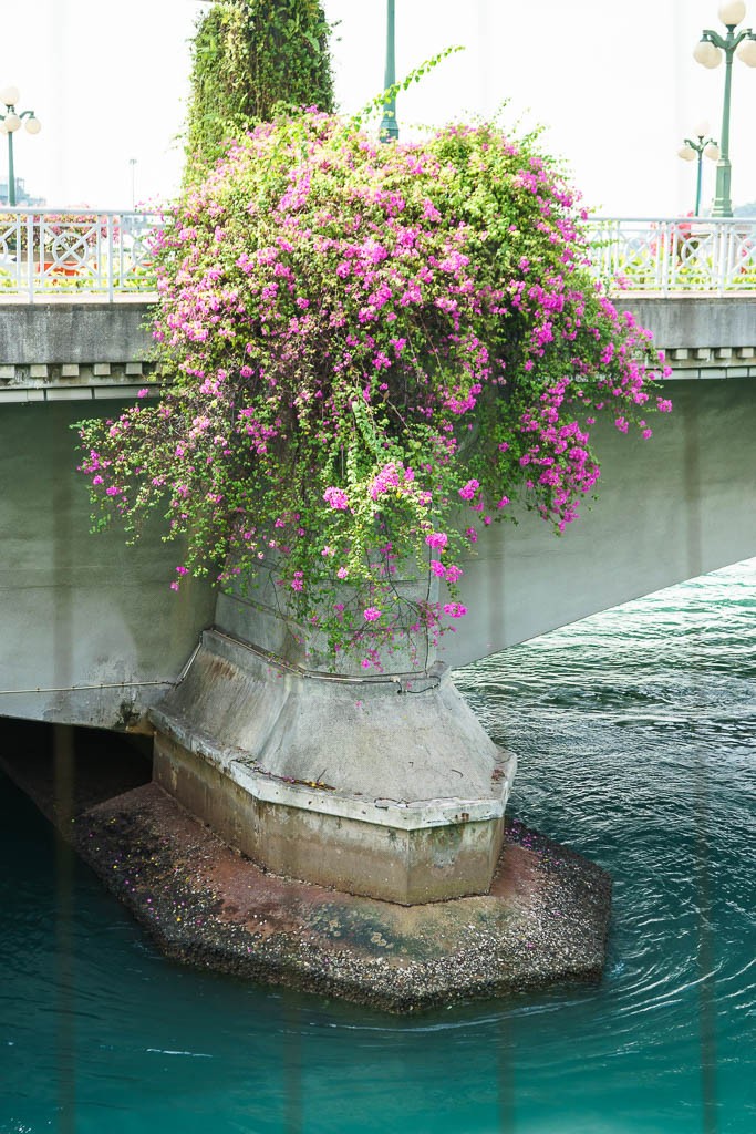 Flowers on a bridge