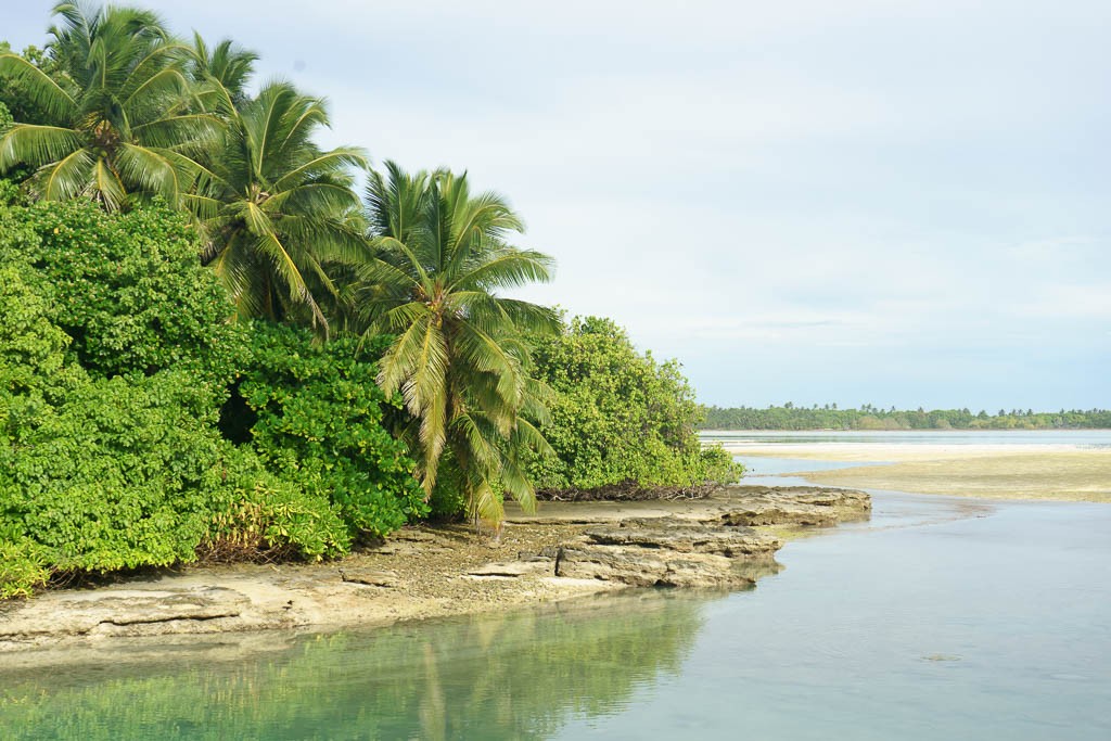 Lush trees and clear water