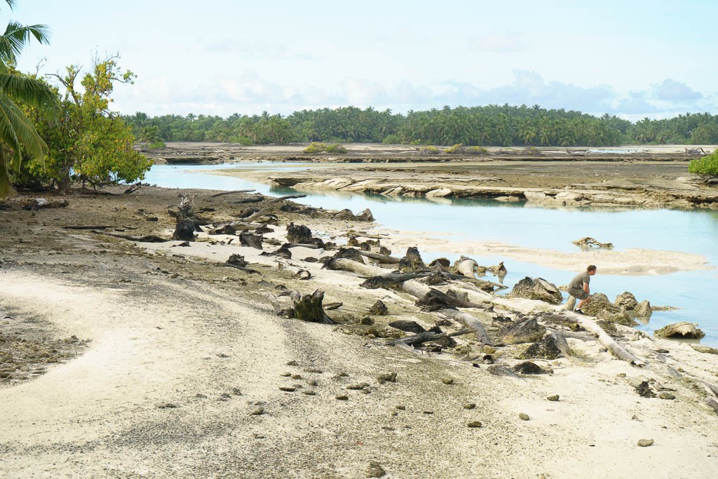 Maybe these are tide pools?