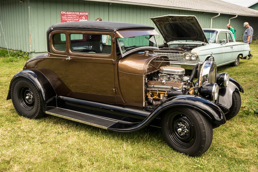 I just love the bronze and copper paint. It's like a classy version of raw metal. 