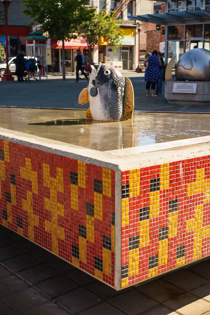 Fish in a fountain