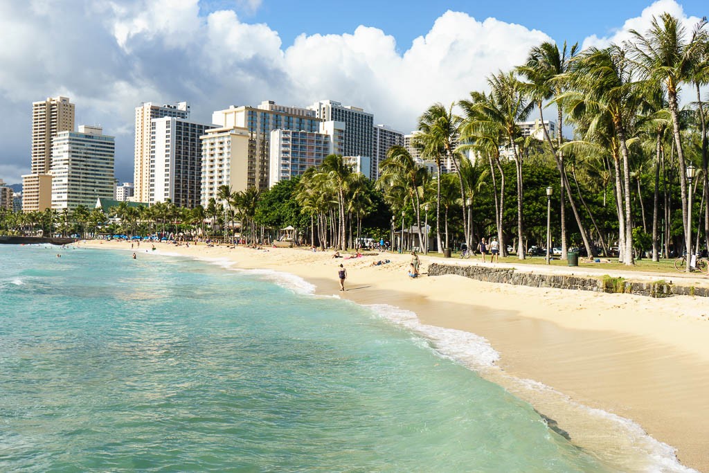 Palm trees and skyscrapers