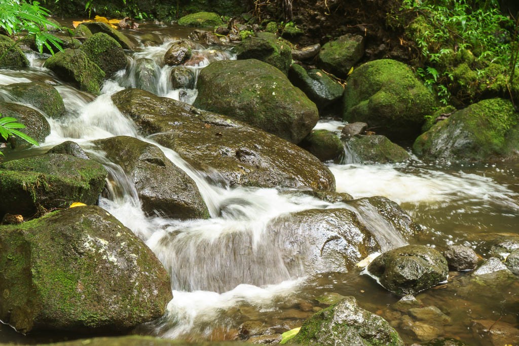 Water in the creek