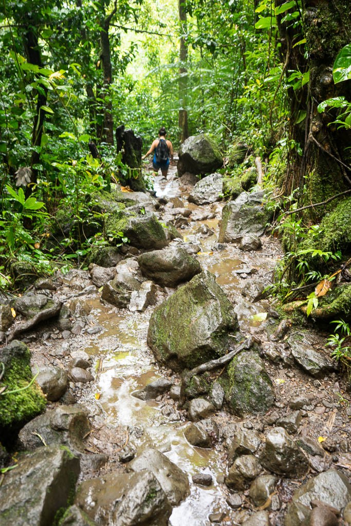 The trail was much muddier on the way back.