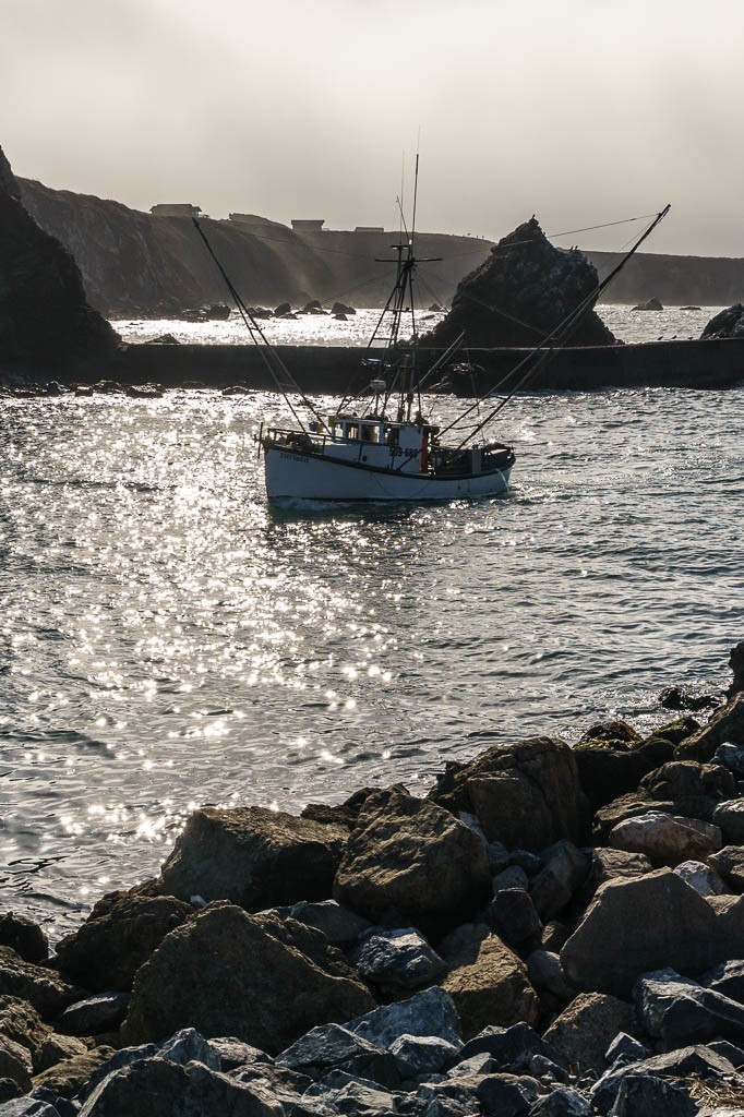 Fishing boat coming in for the night.