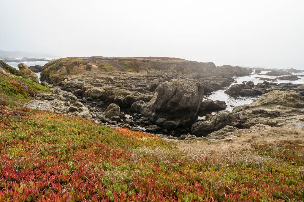 Island at low tide