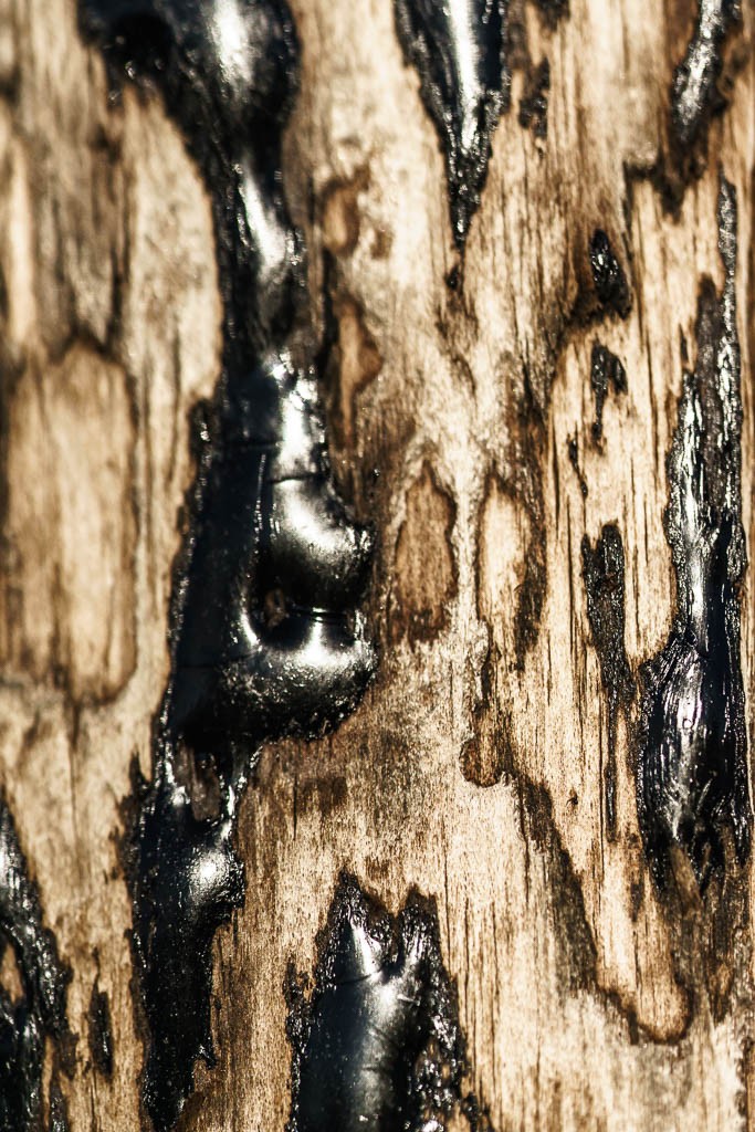 Tar on a telephone pole