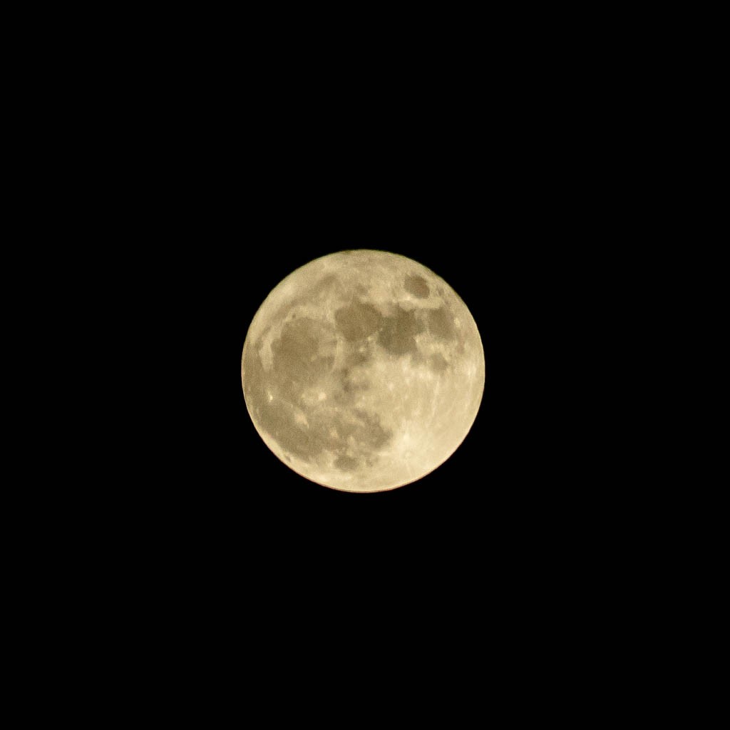 ...and because it doesn't deserve it's own post, here's the moon photo I got a few days ago from the comfort of my living room.