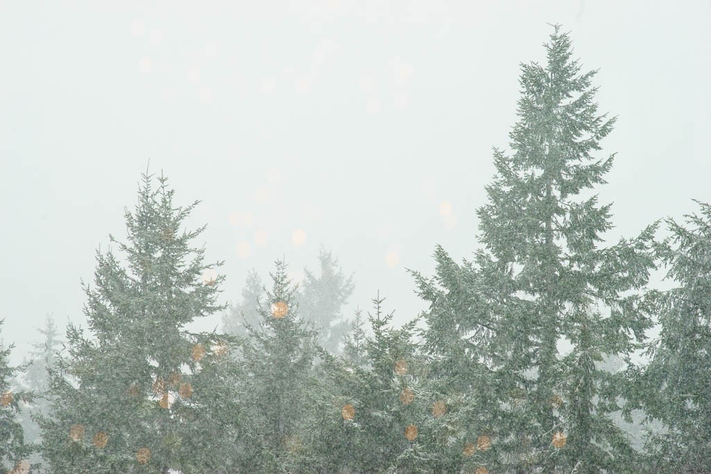 Snow on Christmas eve.  The lights are reflected in the window.