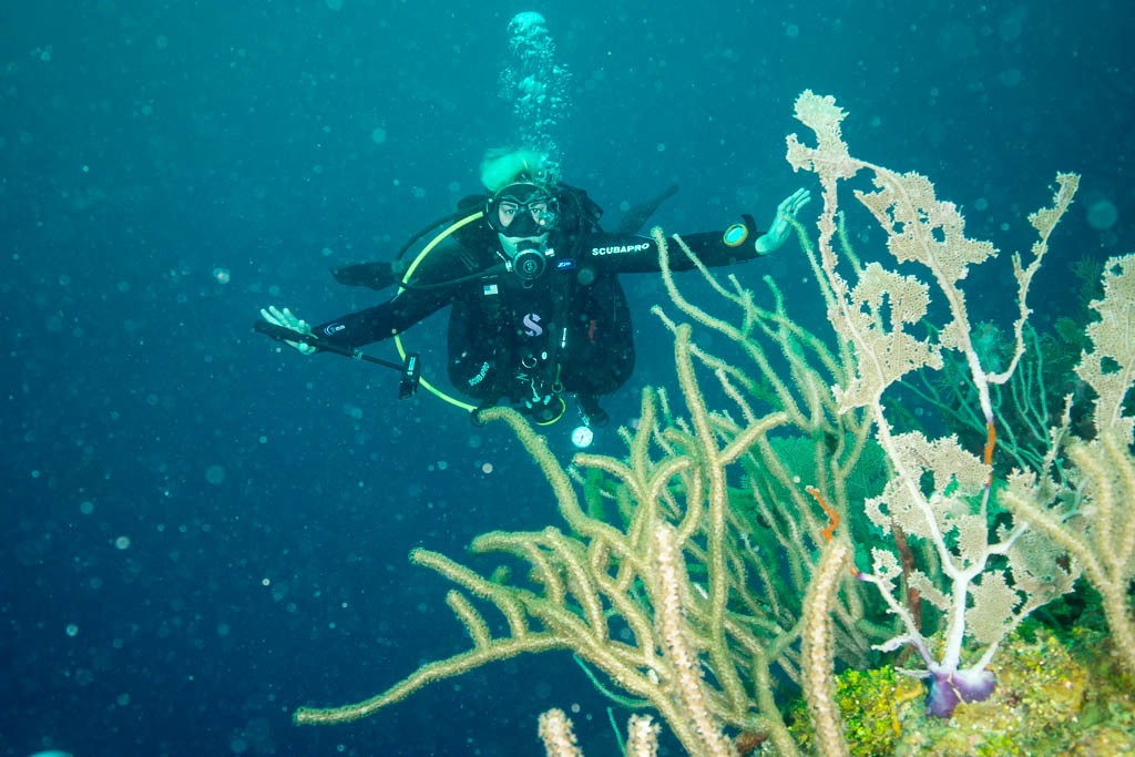 Me flying underwater again