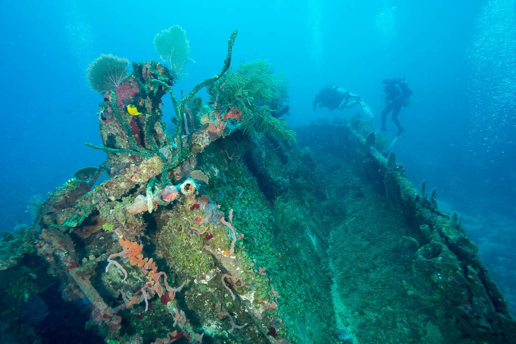 Top of the pilothouse