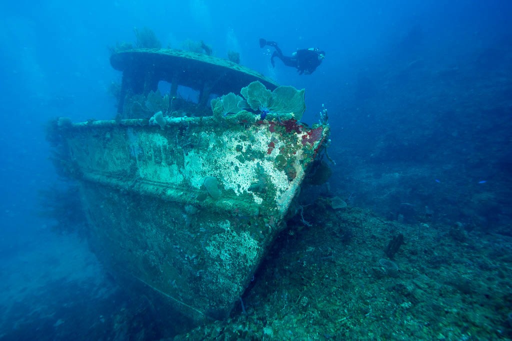 Diver and wreck